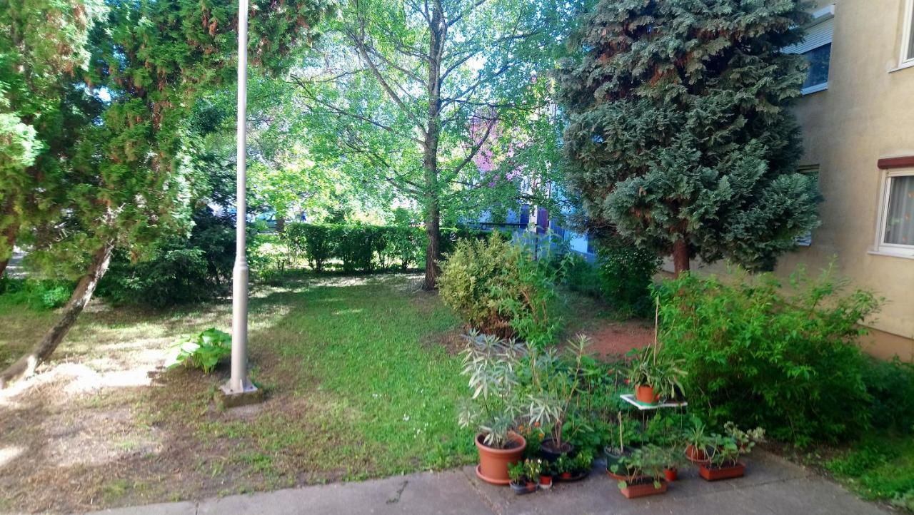 Sziget Apartman Eger Exterior foto